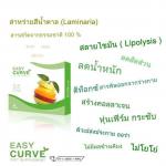 Eazy Curve อีซี่ เคิร์ฟ