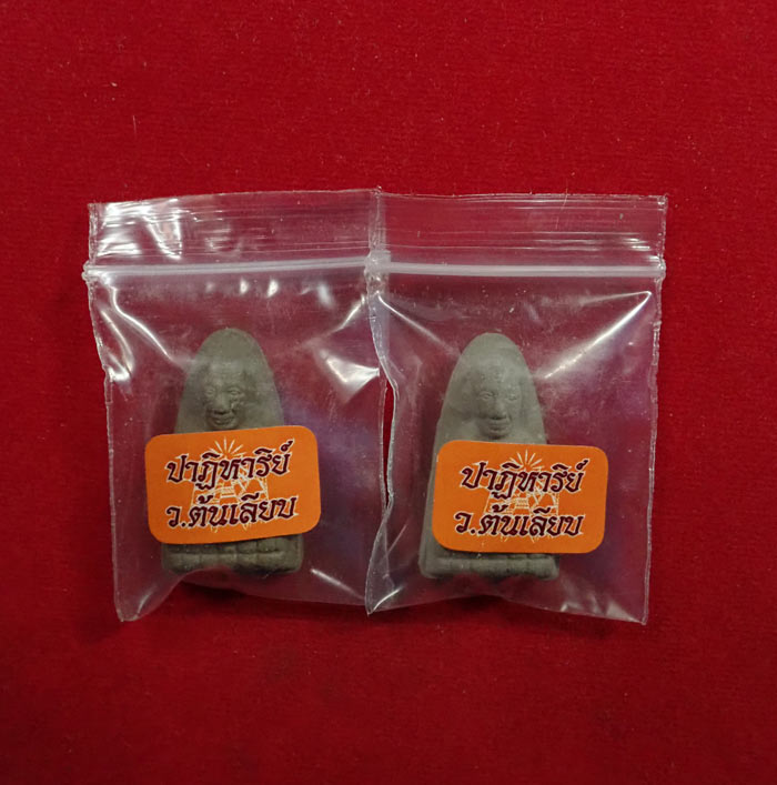 *2 องค์* หลวงพ่อทวด ปาฏิหาริย์ สำนักสงฆ์ต้นเลียบ ปี2556 เนื้อว่าน (แจกพิธี)