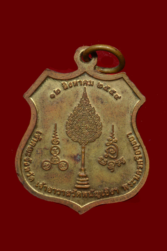 หลวงพ่อโต วัดพนัญเชิง พ.ศ. 2559