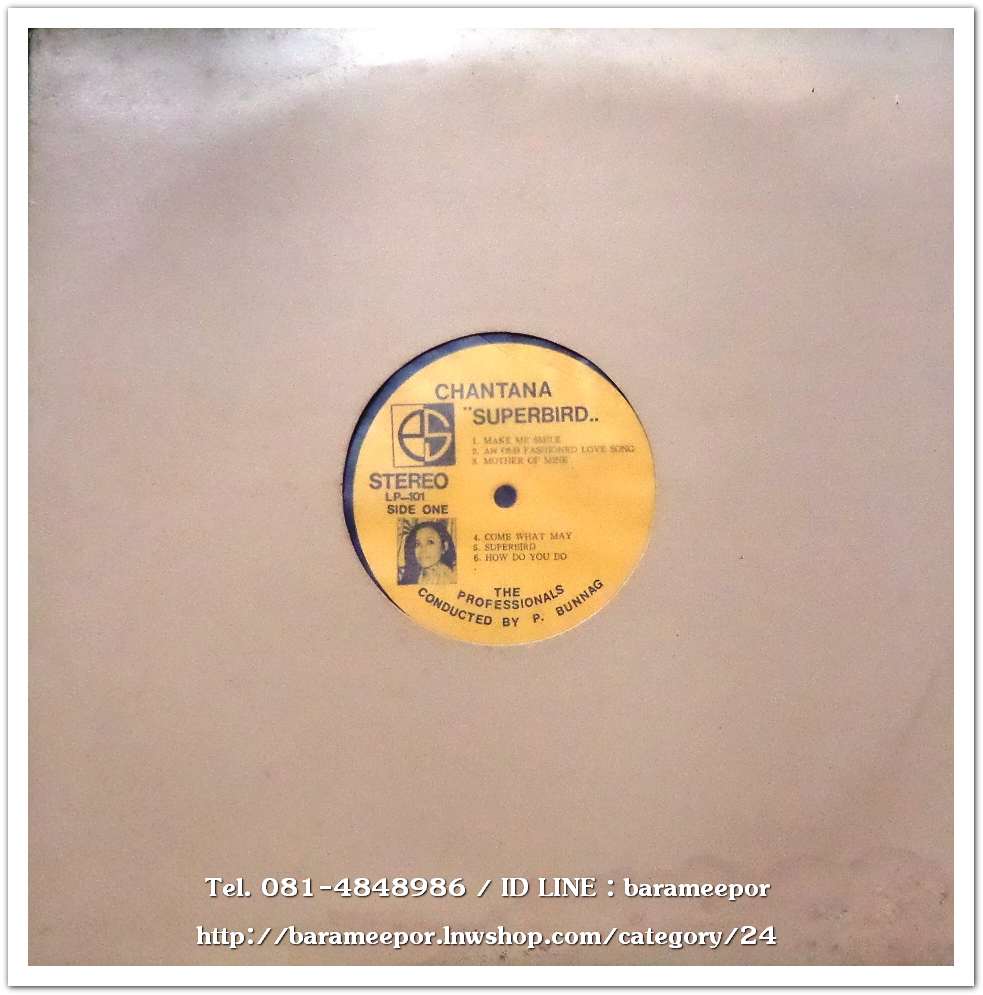 ฉันทนา กิติยพันธ์ กับอัลบั้มเพลงสากลทั้งชุด CHANTANA SUPERBIRD