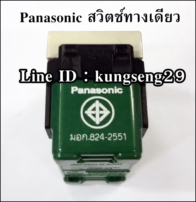 Panasonic สวิตช์ทางเดียว WEG 5001K