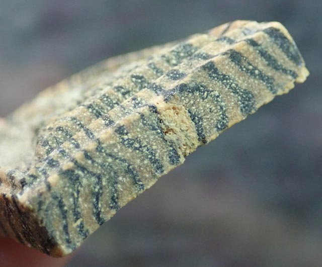 พระสมเด็จปรกโพธิ์หลวงพ่อแพ วัดพิกุลทอง จ.สิงห์บุรี เนื้อผงลาย