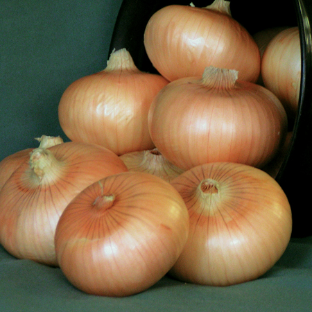 หัวหอมสเปนสีเหลือง - Yellow Sweet Spanish Onion