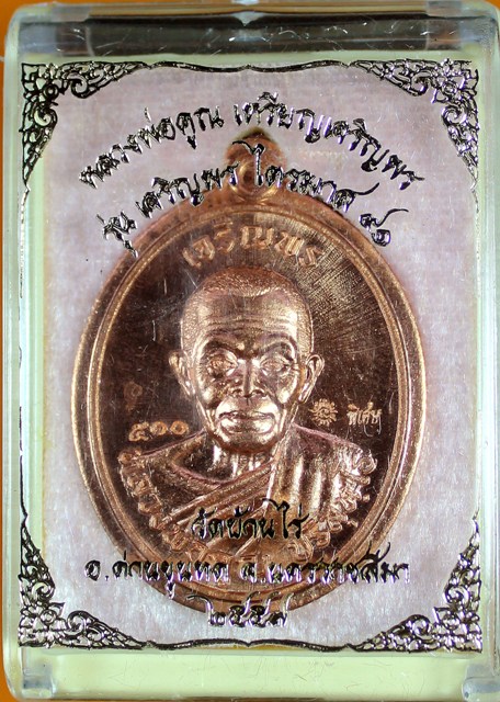 หลวงพ่อคูณ รุ่นเจริญพร ไตรมาส ๙๑ หลายเนื้อ