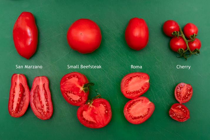 มะเขือเทศซานมาซาโน่ - San Marzano tomato