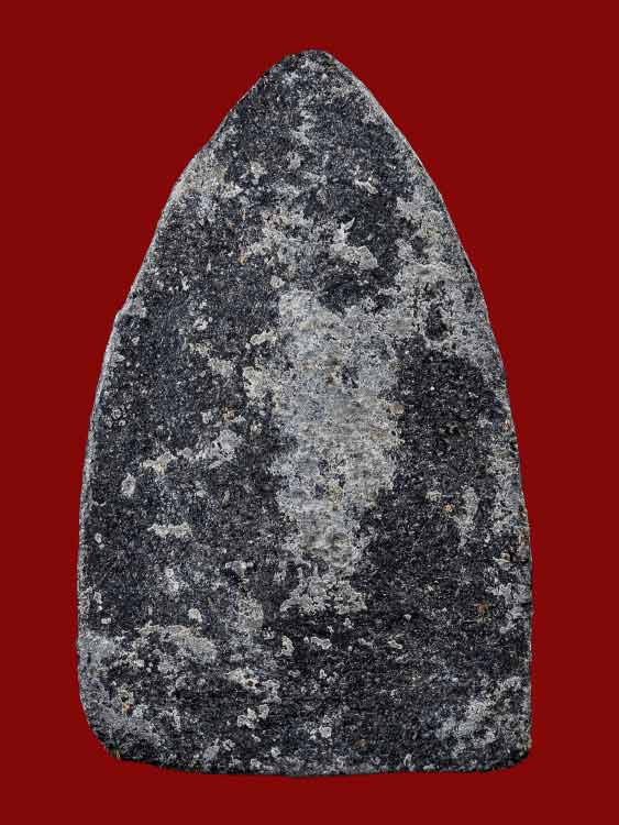 หลวงปู่ทวด รุ่นวิเศษ60 อาจารย์นอง วัดทรายขาว ปัตตานี ปลุกเสก ปี 2541 เนื้อว่าน พิมพ์กรรมการ