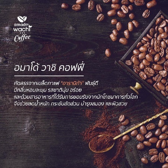 amado wachi coffee อมาโด้ วาชิ คอฟฟี่ 
