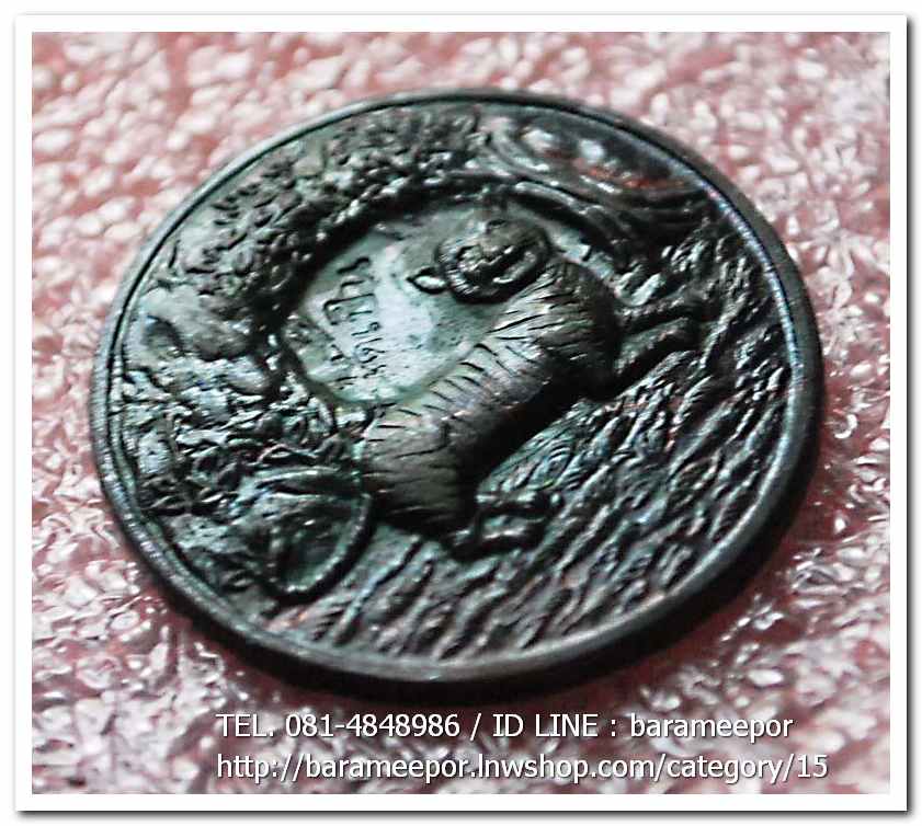 เหรียญพญาเสือนอนกิน รุ่นแรก ปี 2548 พระอาจารย์ประสูติ วัดในเตา จ.ตรัง