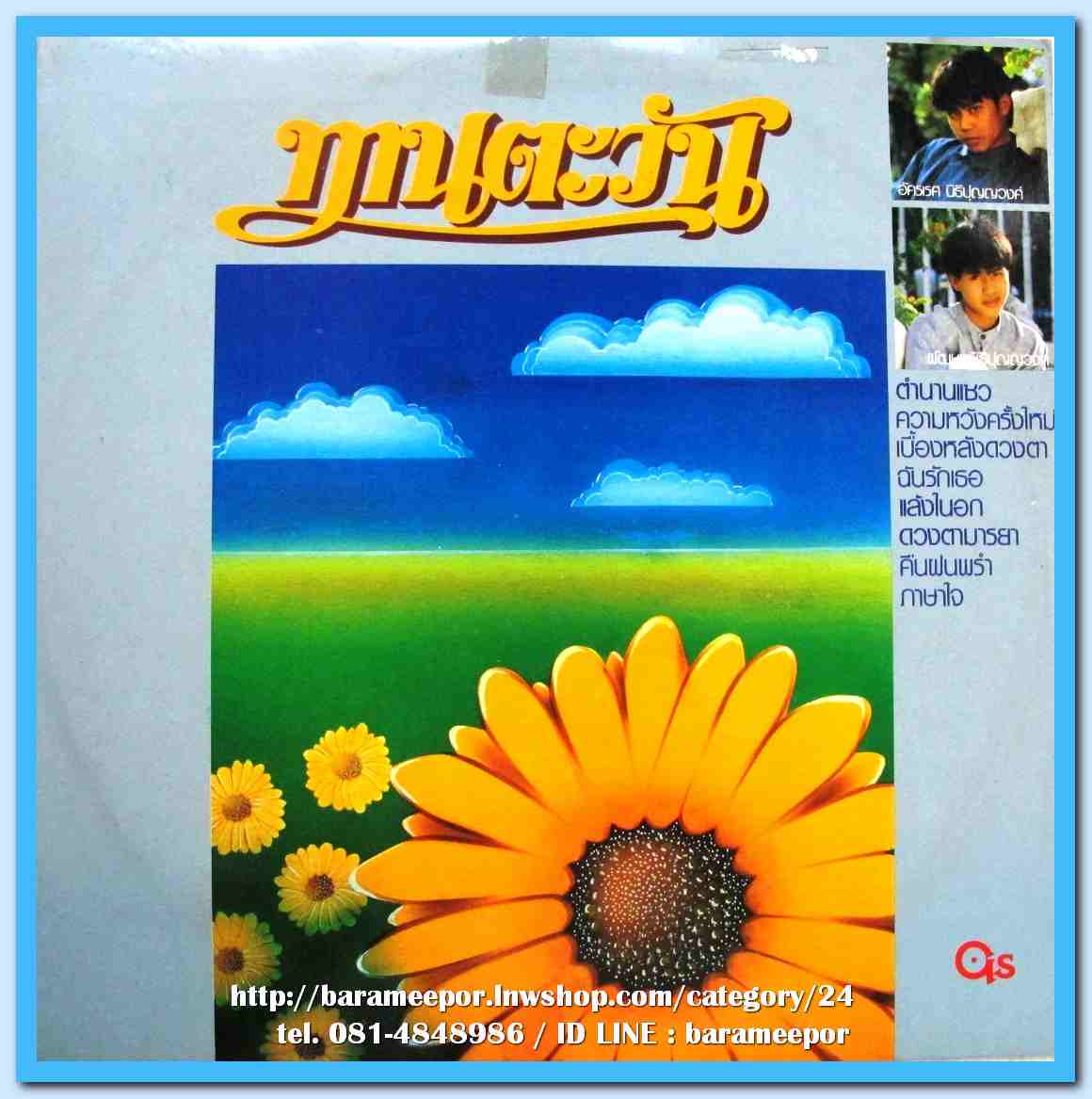 วงทานตะวัน