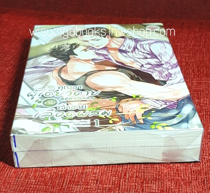 คุณอาผู้เดียวดายกับเจ้าชายเลือดผสม (2เล่มจบ***มือหนึ่ง มีขีดสันล่าง): ผู้เขียน Shui Qian Cheng , ผู้แปล เซ๊ยงเซียง