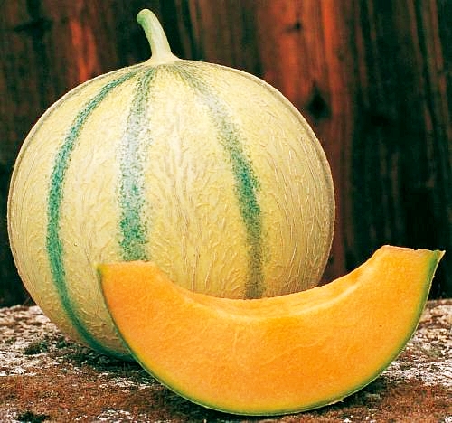 เมล็ดพันธุ์ เมล่อน ชาร์เลนไต - Charentais Melon Seed