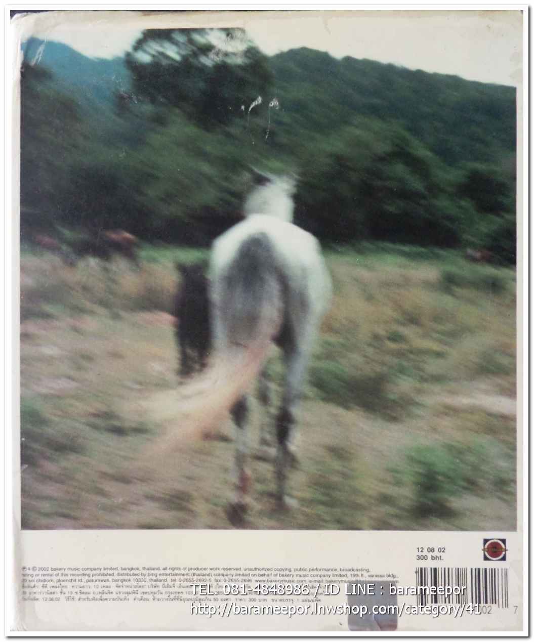 ซีดี. YOKEE PLAYBOY ชุด LOVE TREND สภาพสวย