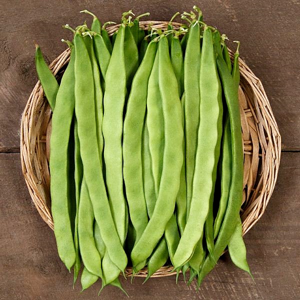 เมล็ดพันธุ์ ถั่วแขกเขียวผลแบน Qing Bain Pole Bean Seed 10 เมล็ด