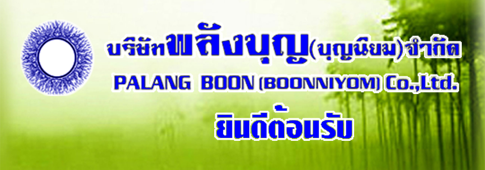 บจ.พลังบุญ(บุญนิยม)