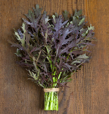 มัสตาร์ด มิซูน่าใบแดง - Red Leaf Mizuna Mustard