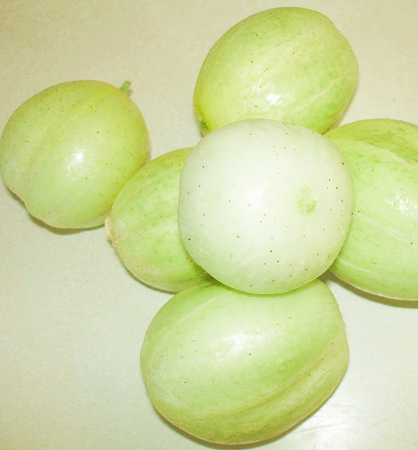 แตงกวาเลม่อน - Lemon Cucumber