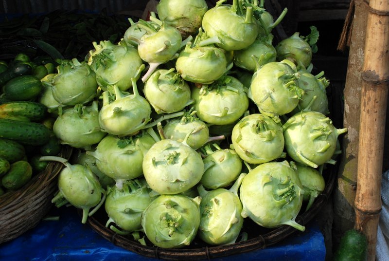 (Whole 1 Oz) กะหล่ำปมสีเขียว - Green Vienna Kohlrabi