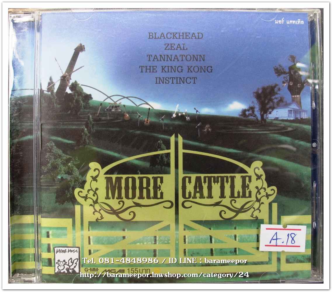 MORE CATTLE สภาพสวย