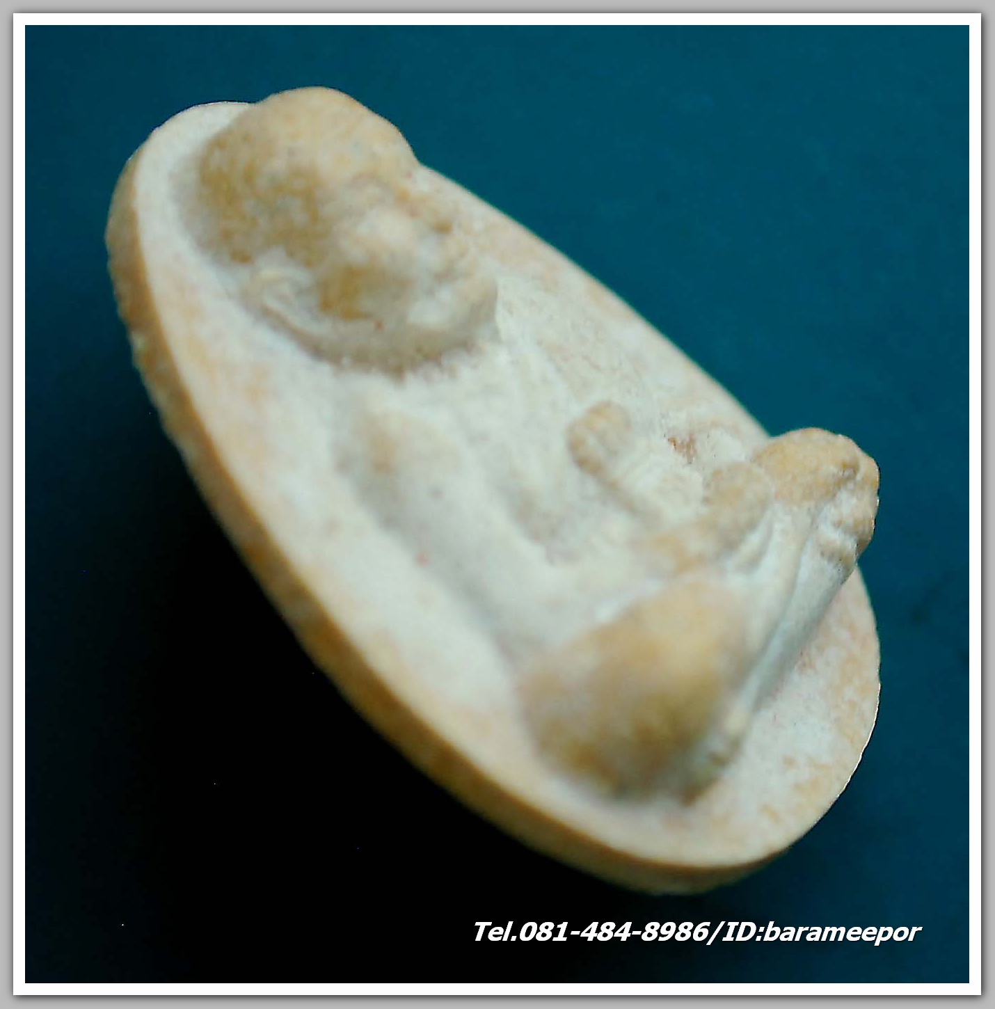 หลวงพ่อทวด สมเด็จพระสังฆราชฯ ญสส ฉลองพระชันษา ๙๙ ปี ๓ ตุลาคม ๒๕๕๕ วัดบวรนิเวศน์ เนื้อว่าน 108