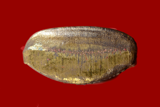 รูปเหมือนพ่อท่านผล วัดทุ่งนารี จ.พัทลุง พ.ศ.2555