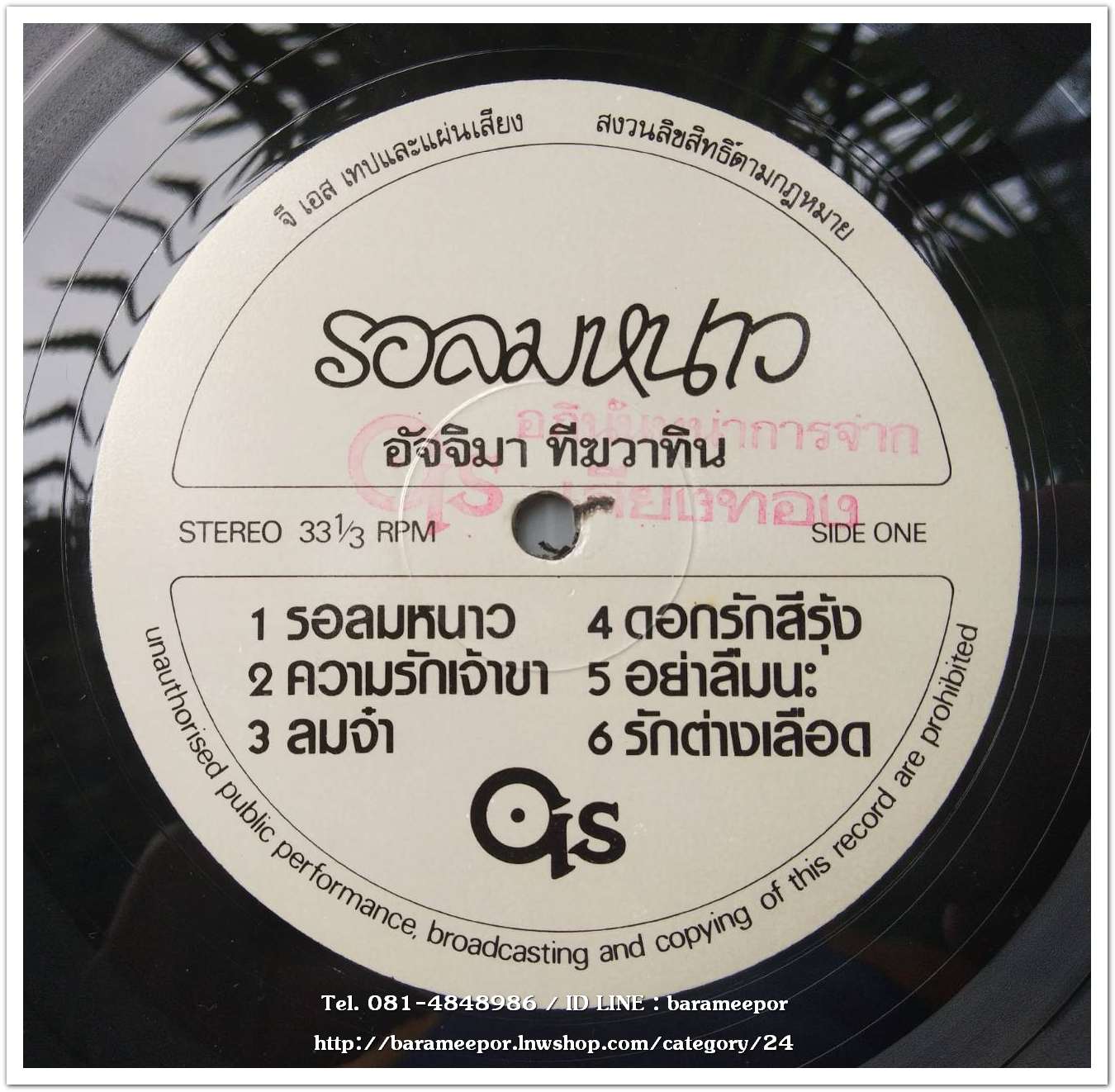 อัจจิมา ทีฆวาทิน ชุด รอลมหนาว..2