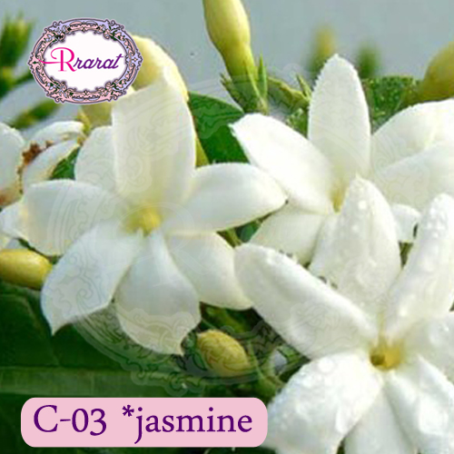 กำยานหอม กลิ่น มะลิ (Jasmine).. 500g.