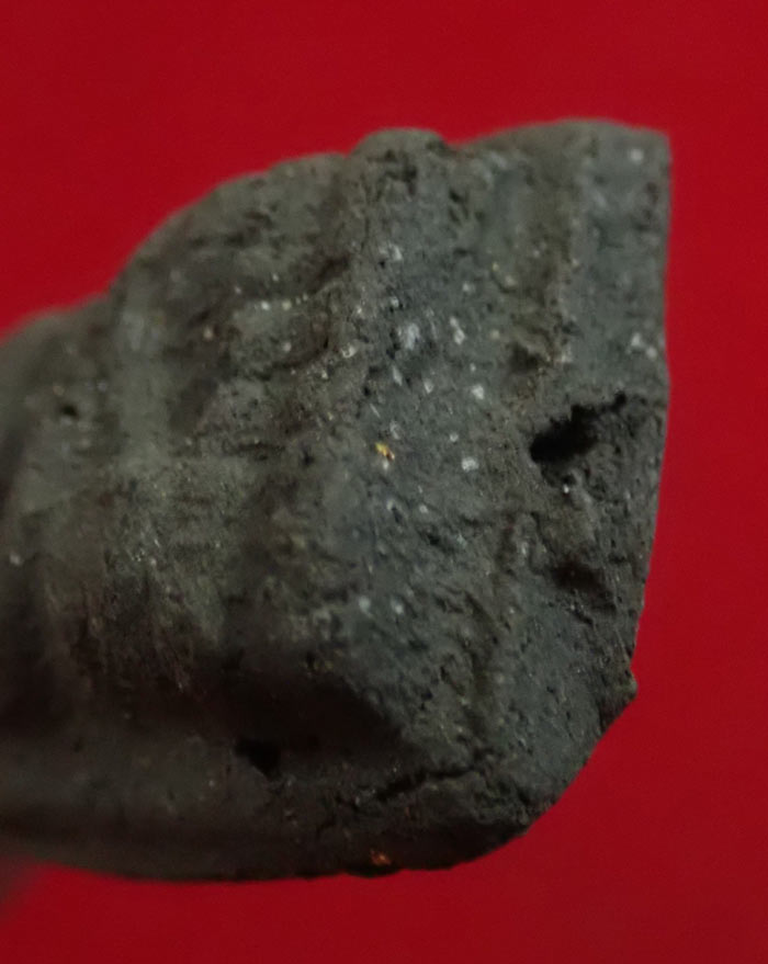 เนื้อว่าน (กดมือ) หลวงพ่อทวดเนื้อว่าน พิมพ์ใหญ่หลังเรียบ วัดนาประดู่ ปัตตานี