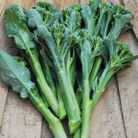 เบบี้บล็อคโคลี่ - Green Sprouting Broccoli