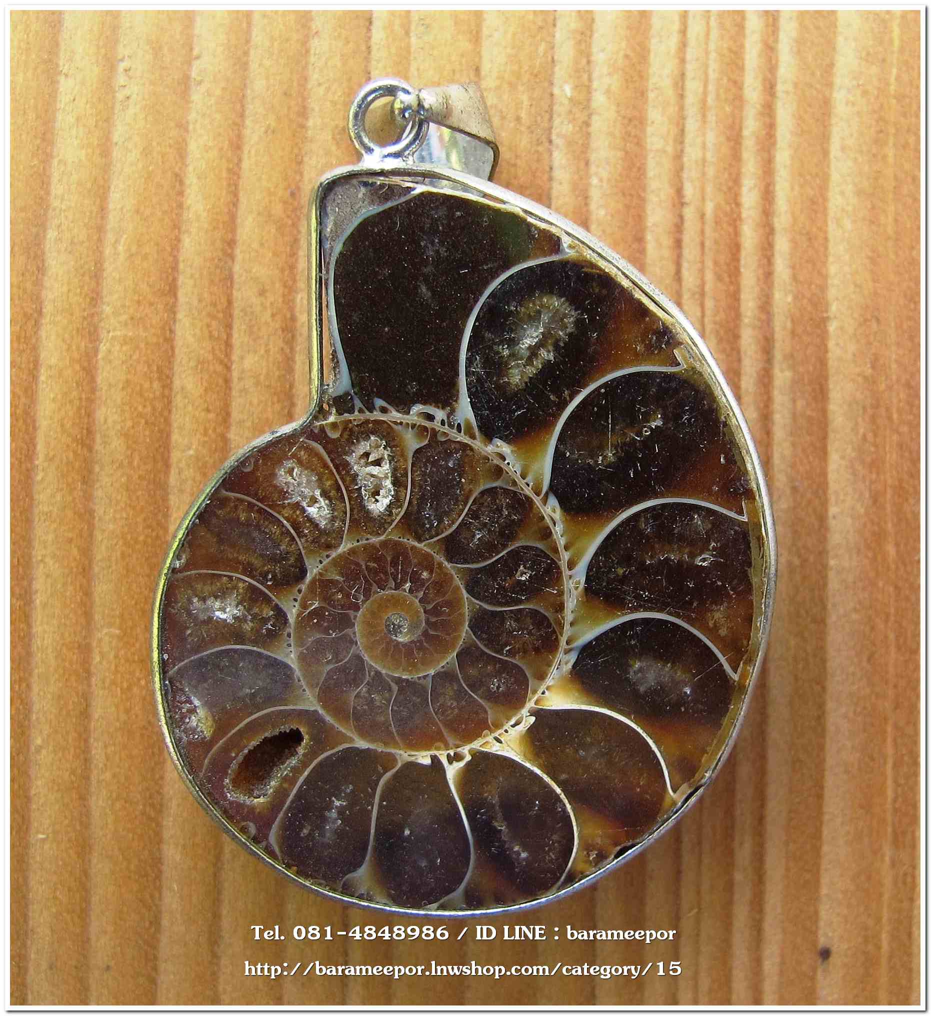 จี้ฟอสซิลหอยแอมโมไนต์ผ่าครึ่ง (Ammonite fossil Pendant) คัดสวย