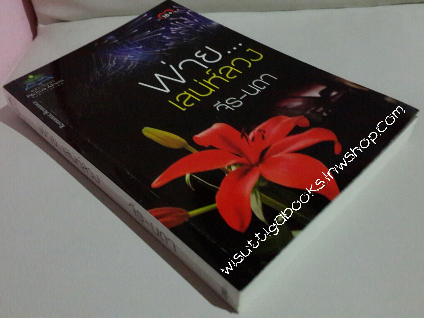 พ่ายเสน่ห์ลวง โดย จีร-นดา