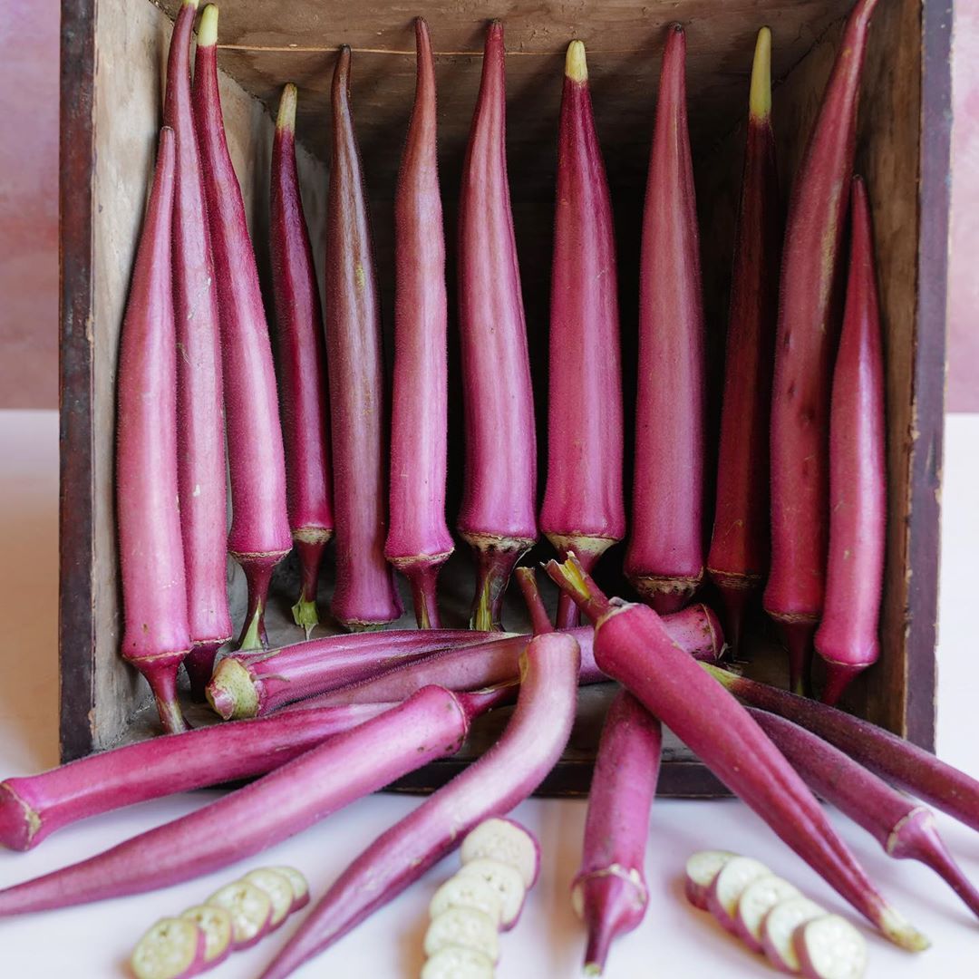 กะเจี๊ยบชมพู โอกินาว่า - Okinawa Pink Okra