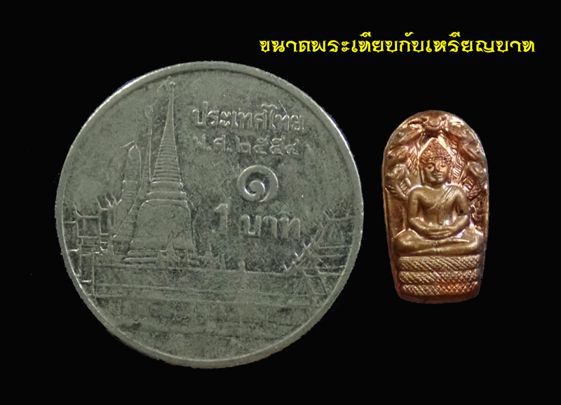 * 10 เหรียญ* เหรียญพระนาคปรกใบมะขาม รุ่นประทานพร พ่อท่านเขียว วัดห้วยเงาะ ปัตตานี ปี 2558