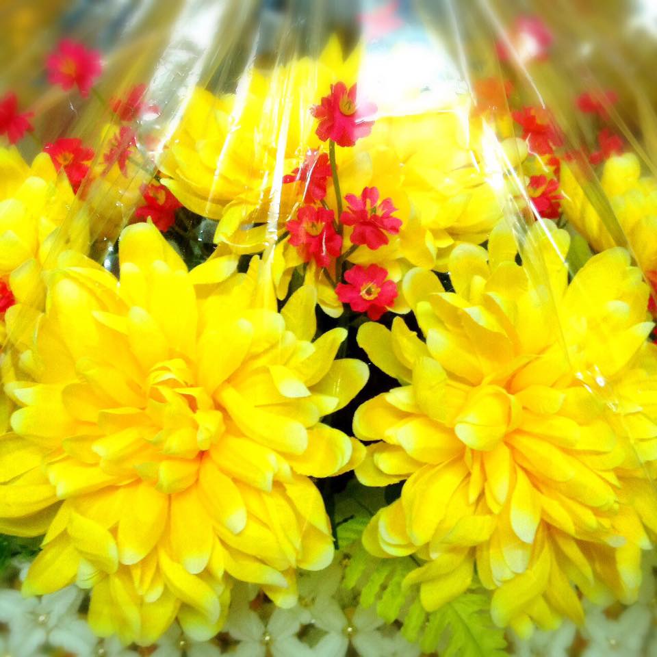 ครอบไตรดอกรัก ตาถี่ (หน้าช้าง) เบญจมาศ