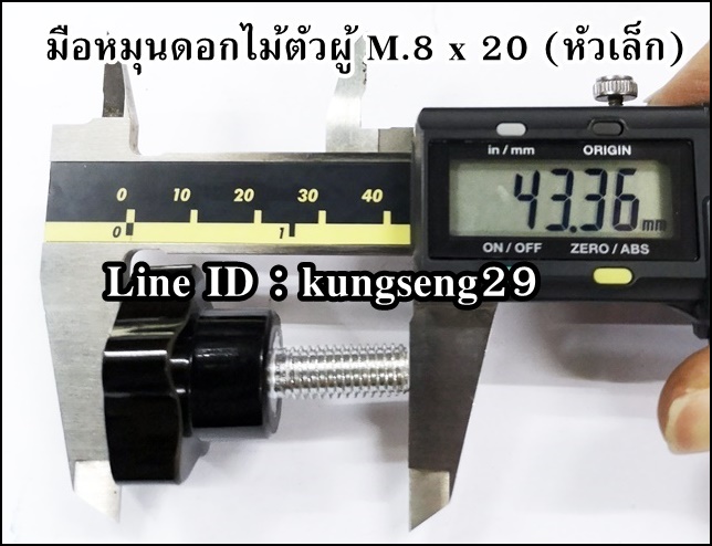 มือหมุนดอกไม้ห้าแฉก ตัวผู้ M.8 x 20 (หัว 30 mm)