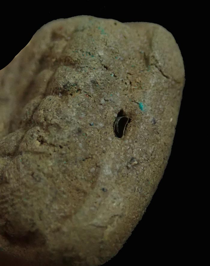 หลวงพ่อทวดเนื้อว่านดินกากยายักษ์ พิมพ์ใหญ่ A ฝังตะกรุดเงิน (หลังตราแผ่นดิน) อาจารย์ทอง วัดสำเภาเชย รุ่นพิทักษ์แผ่นดิน ปี 2551