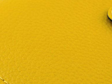 Light Yellow(เหลือง) - Sashy Bookbank Holder