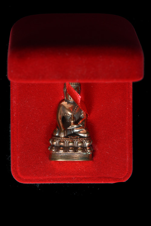 พระกริ่งนารายณ์พลิกแผ่นดิน เนื้อนวะโลหะ พ.ศ.2553