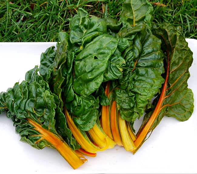 (Whole 1 Oz) สวิสชาร์ตสีส้ม - Orange Swiss Chard