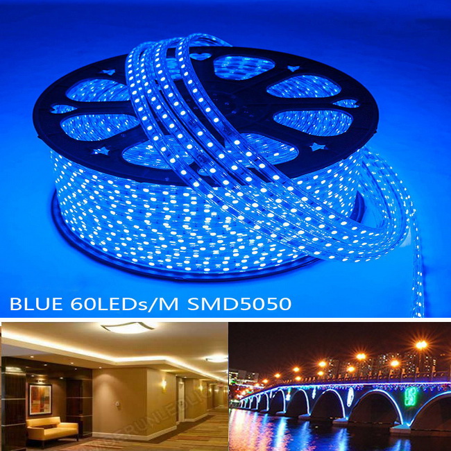 ไฟเส้น LED ROPE LIGHT AC 220V แบบแบน แสงสีนํ้าเงิน ยาว100เมตร