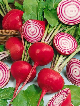หัวบีช พันธุ์เออรี วอนเดอร์ - Early Wonder Beet
