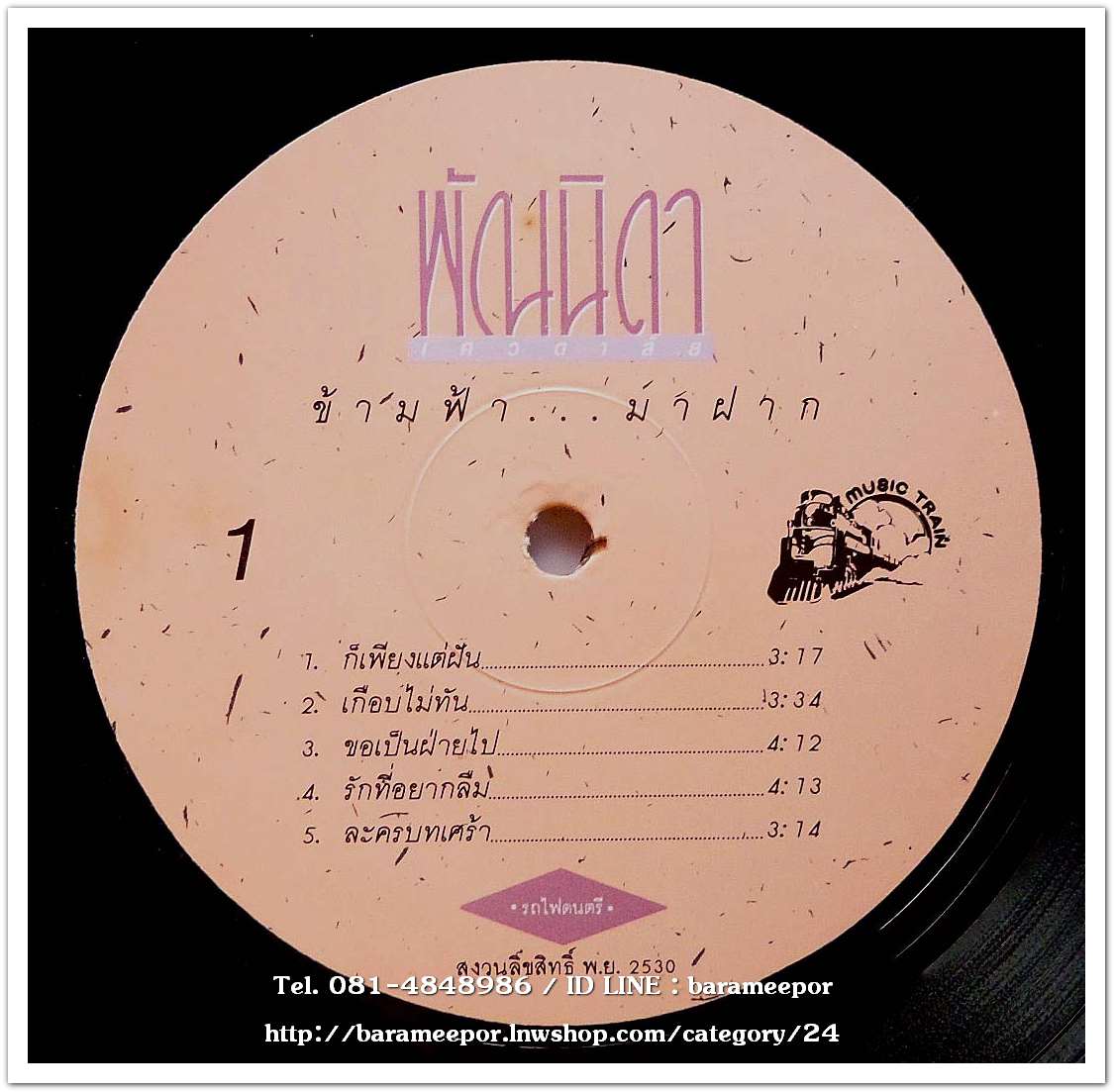 พัณนิดา เศวตาสัย ชุด ข้ามฟ้ามาฝาก..2