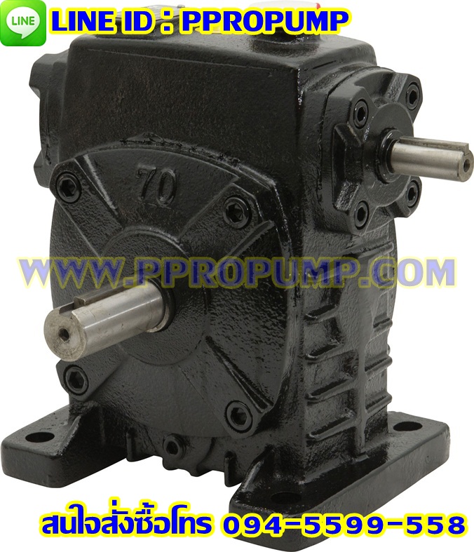 เกียร์ทดรอบสินค้าใหม่มือหนึ่ง - WPS Worm Gear Speed Reducer