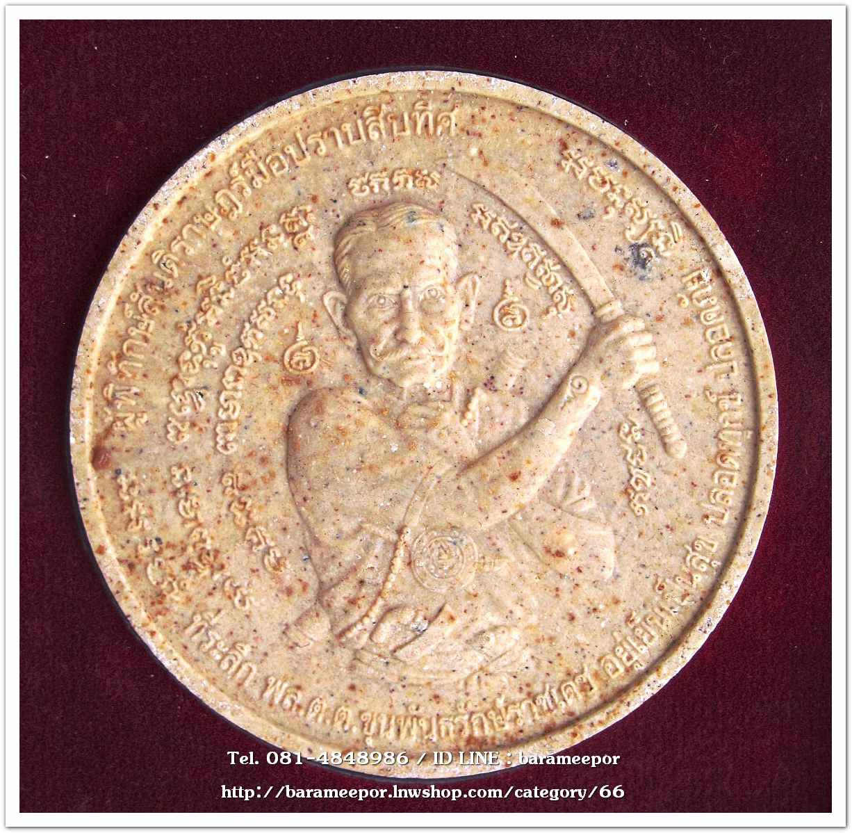 ว่านกลม ขุนพันธ์ มือปราบสิบทิศ เนื้อว่านขาว ขนาด 5 ซม...2