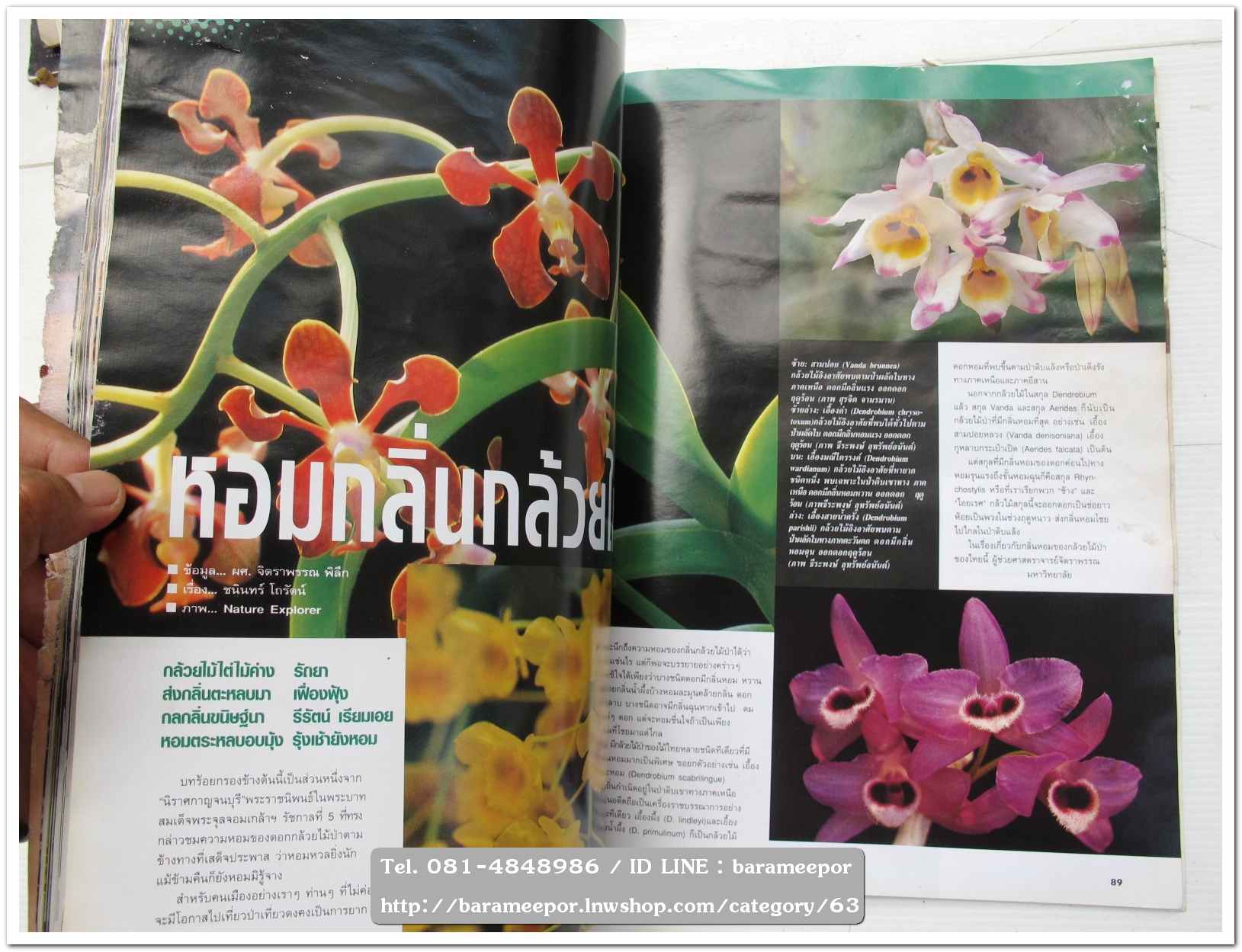 A35 หนังสือรถ NISSAN MAGAZINE