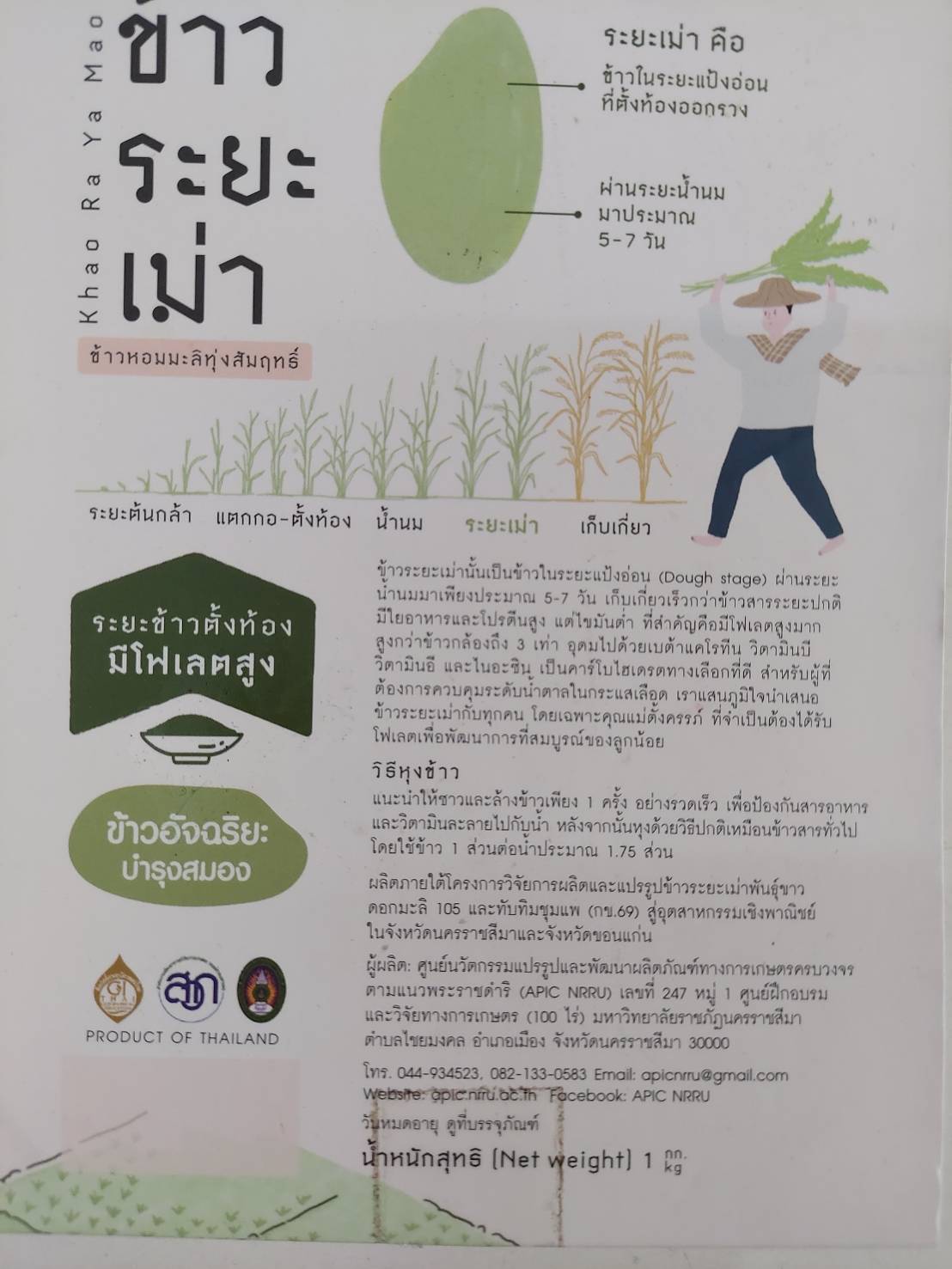 11-255-5200-0 ข้าวหอมมะลิ105 *ระยะเม่า *1กก. *หินสร้าง