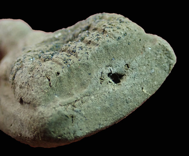 หลวงพ่อทวดเนื้อว่านดินกากยายักษ์ พิมพ์ใหญ่ A ฝังตะกรุดเงิน (หลังตราแผ่นดิน) อาจารย์ทอง วัดสำเภาเชย ปี 2551 รุ่นพิทักษ์แผ่นดิน