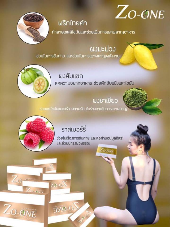 ผลิตภัณฑ์อาหารเสริมลดน้ำหนัก โซวัน Zo One by So-ar 1 กล่อง บรรจุ 10 เม็ด