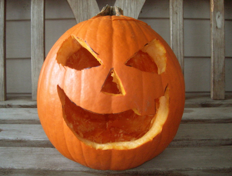 ฟักทองฮาโลวีน พันธุ์แจ๊ค - JACK O LANTERN PUMPKIN