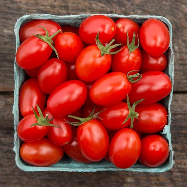 มะเขือเทศเบบี้เกรพ - Baby Grape Tomato
