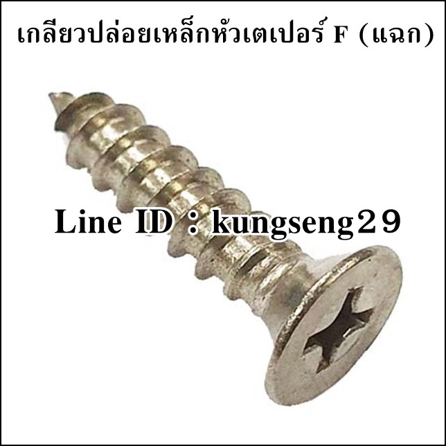 [เหล็ก] เกลียวปล่อยหัวแบน (F)
